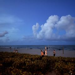 Oceans 234 User Photo