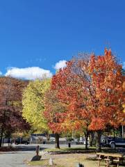 Arrowtown Holiday Park