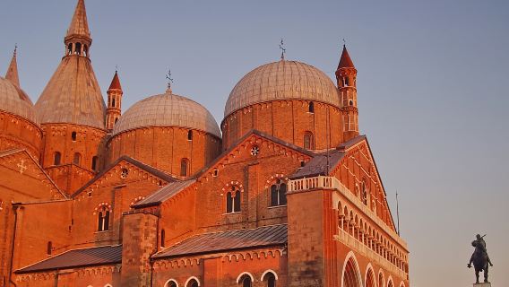 Excursión de un día a la Universidad de Padua + Jardín Botánico de Padua + Basílica de Santa María de la Asunción con servicio de coche privado con conductor
