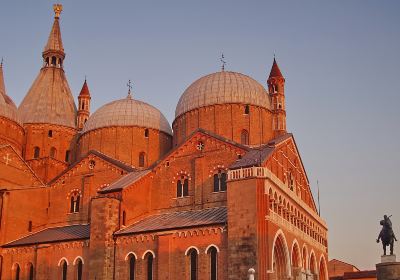 Duomo di Padova