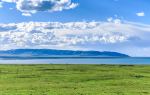 Bird Island of Qinghai Lake