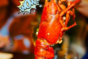 上海浦東麗思卡爾頓酒店·Scena di Angelo意大利餐廳用戶圖片