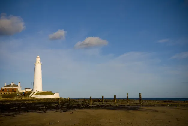 5-звездочные отели в г. Онна