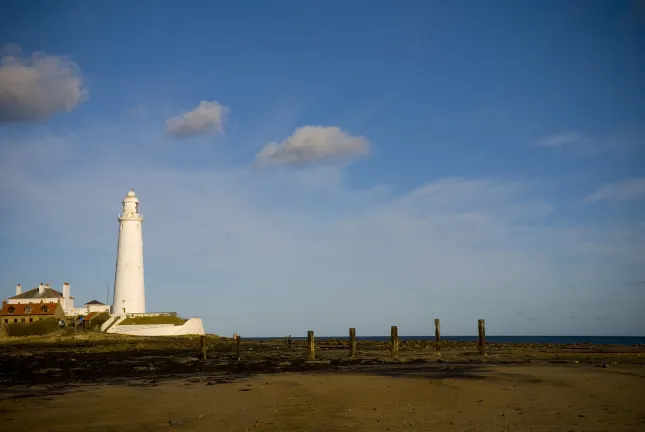 Отели рядом с достопримечательностью «Aloha Divers Okinawa»