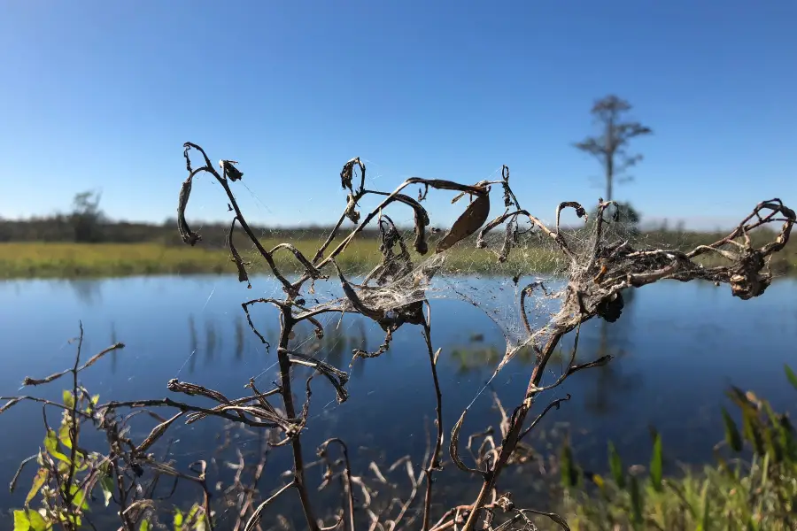 Longtan Lake Park