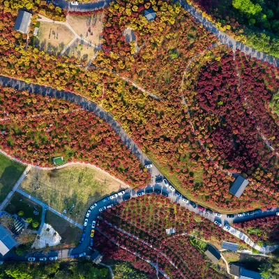 Отзывы об отеле Atour Hotel Shijiazhuang Chang'an Wanda Zhaohui Bridge