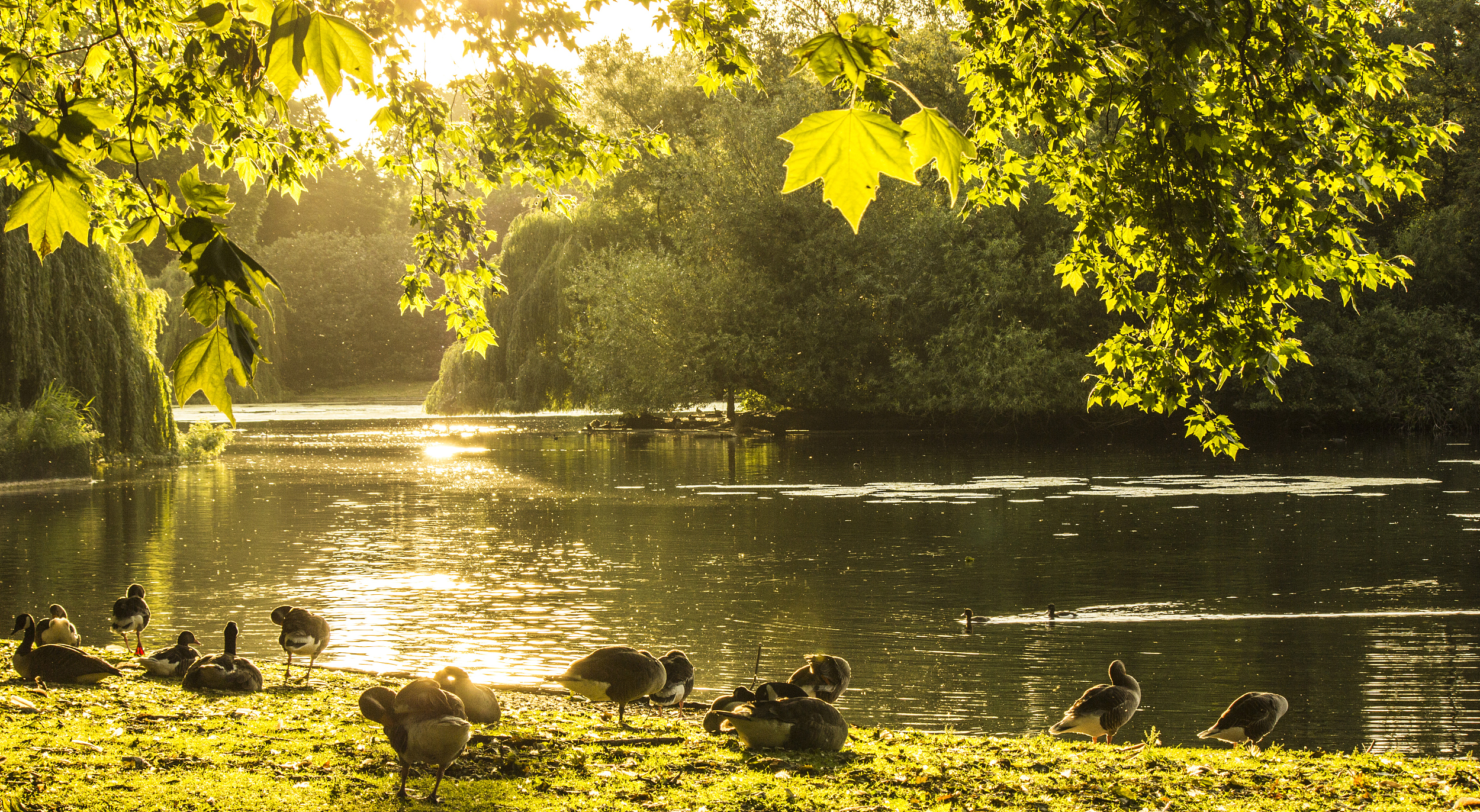 Các khách sạn gần St James's Park