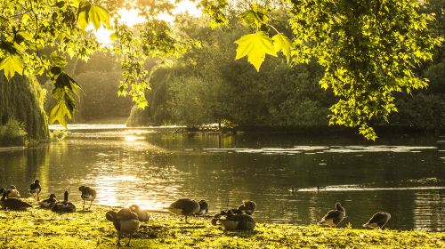 St James's Park