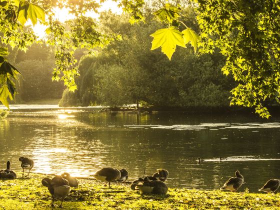 St James's Park