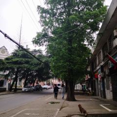 濮塘農家菜館張用戶圖片