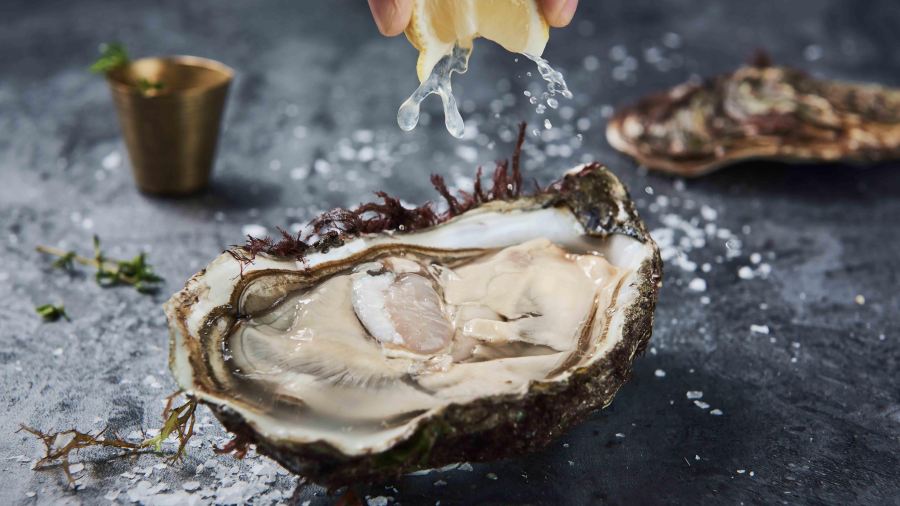 MERCADO 505 Gourmet Restaurant