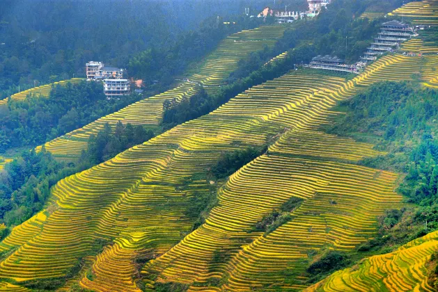 Longji Terrace Zhai Flower Building B&B (Xishan Mountain Xianxiong Optimistic Attractions Shop)