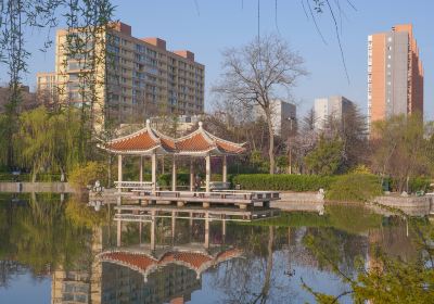 Jiaozhou Park