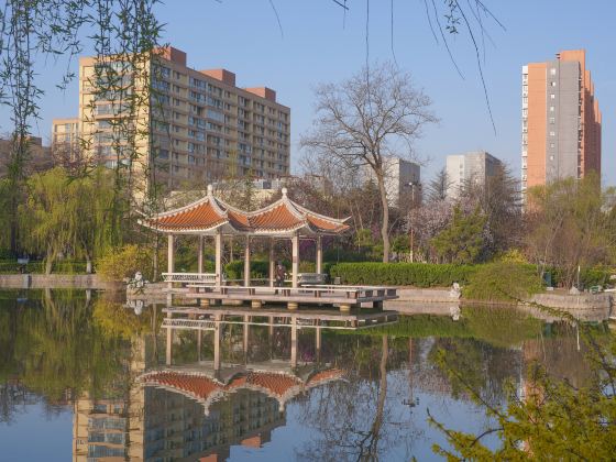 Jiaozhou Park