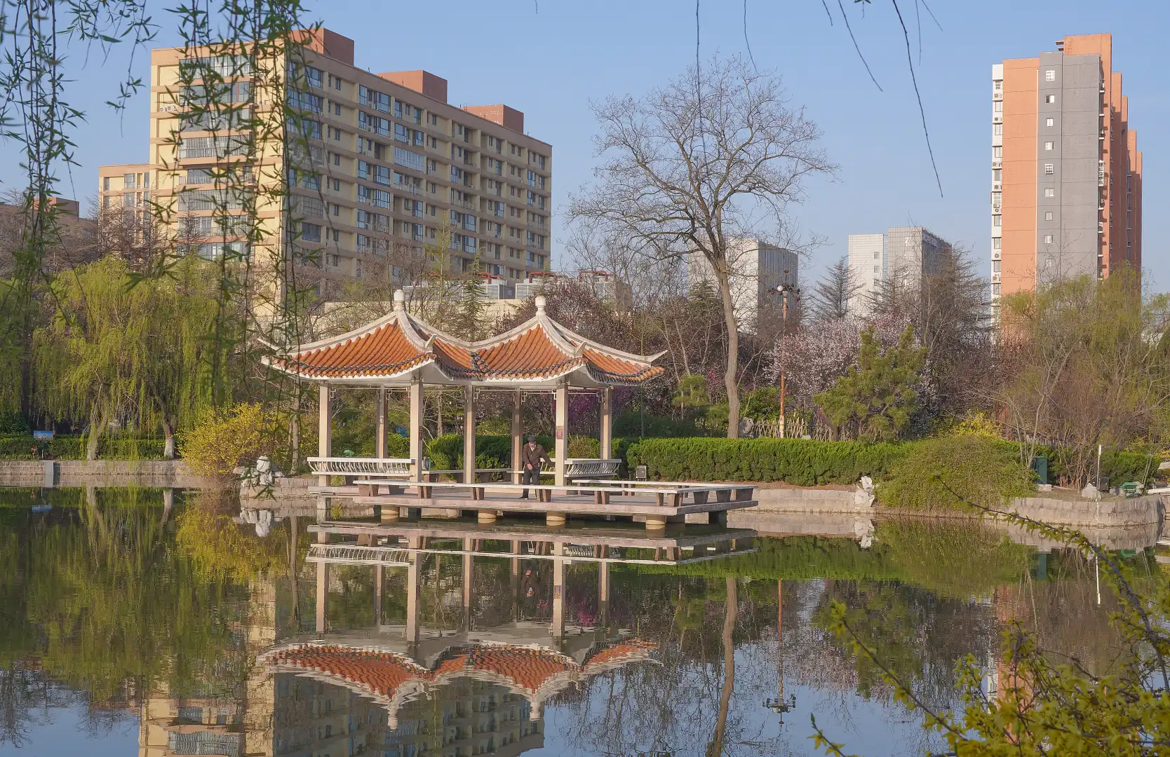 膠州公園周辺のホテル