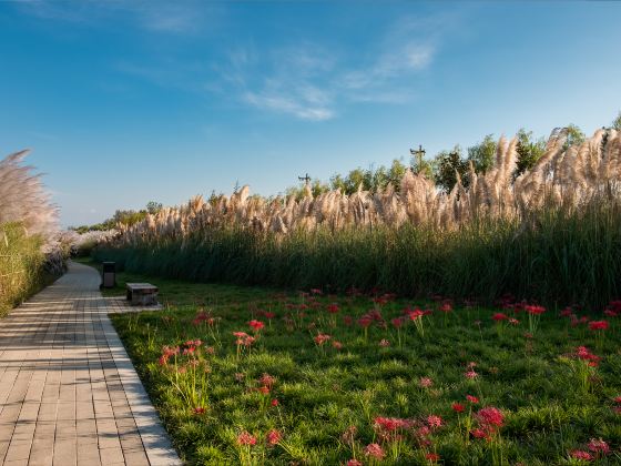 Hanjiang Wetland Park