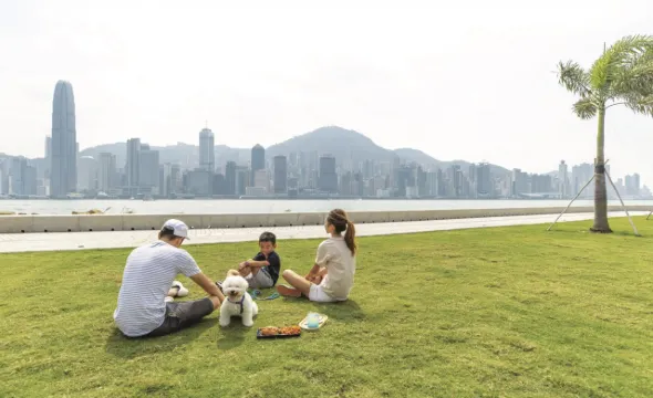 【2026寵物公園】12個狗公園推薦!全港室內外寵物好去處