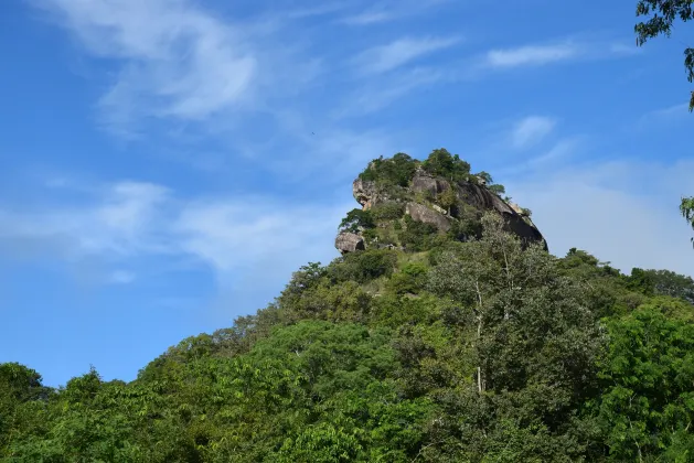 โรงแรมวิวทะเลในตรินโคมาลี