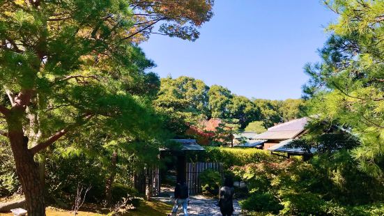 白鸟庭园，位于名古屋市区，与日本三大神宫之一的热田神宫相邻，