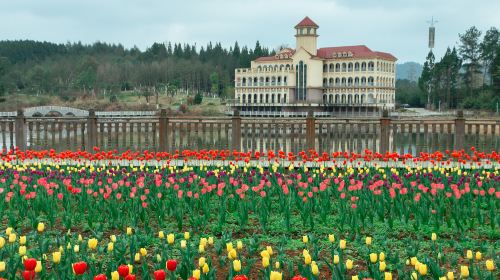 貴州龍架山国家森林公園