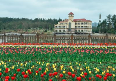 貴州龍架山国家森林公園