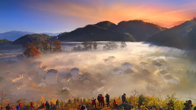 Maple Leaf Viewing in Wuyuan