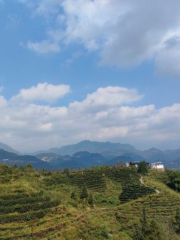 Dazhai Mountain Forest Park