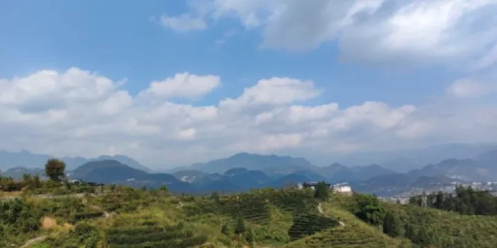 大寨山森林公園