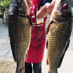 七碟八碗居 User Photo