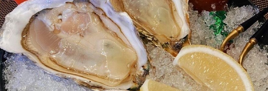 Igates pils Dzirnavu krodziņš