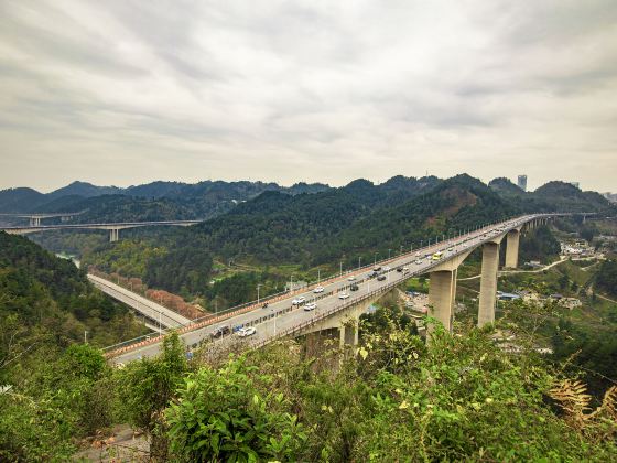 루충관 삼림공원