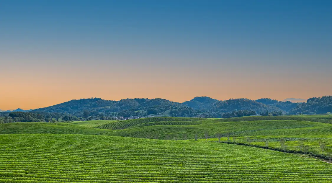 Hotels near Guizhou Meitanxiang Shan Chabo Park