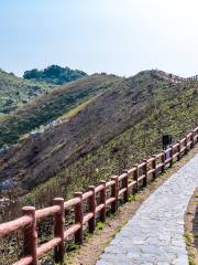 Lantau Trail