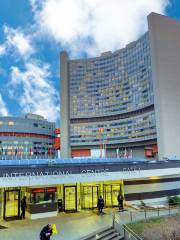 United Nations Office at Vienna