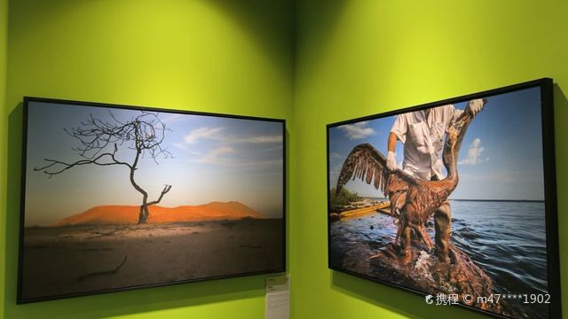 「天津首展」國家地理經典影像大展 | 天津