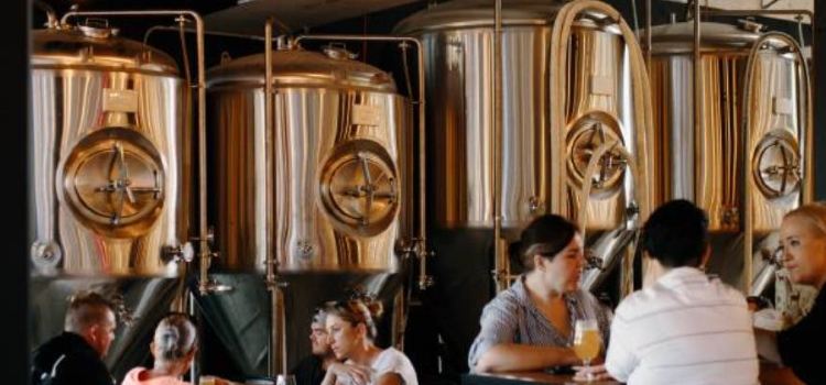 Revel Brewing Co Bulimba