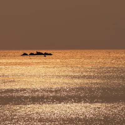 Для бизнес-поездок Отели в г. Порторож