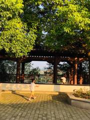 Lucheng Park (Northwest Gate)