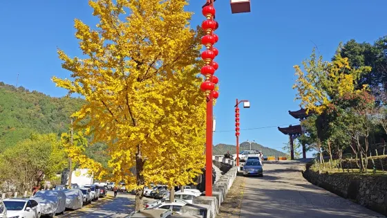 南山