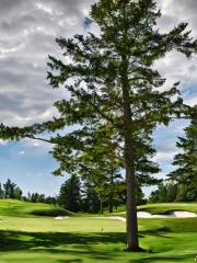 Huron Pines Golf & Country Club