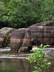 El Tuparro National Park