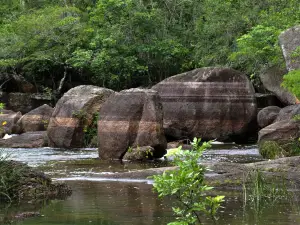 El Tuparro National Park