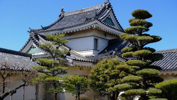 和歌山市日遊