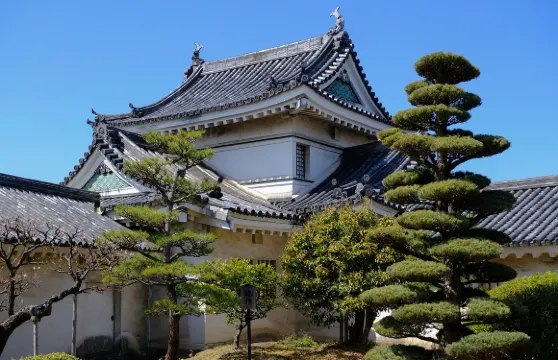 日本大阪和歌山城+黑潮市場+白良濱+白濱溫泉【中文司機】