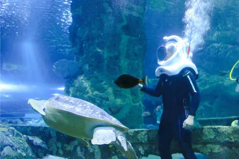 Seawalker