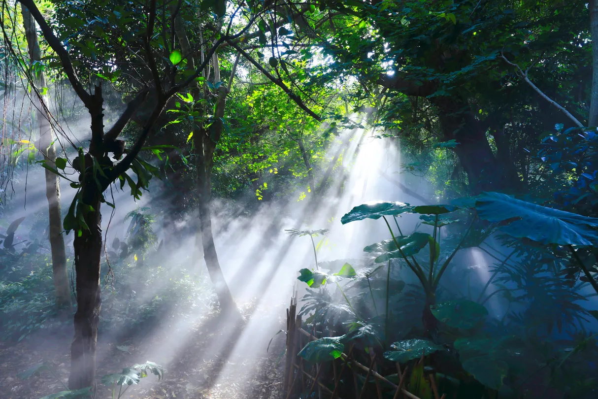 2_Xiamen Botanical Garden