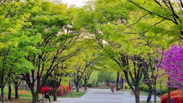 Bupyeong Park
