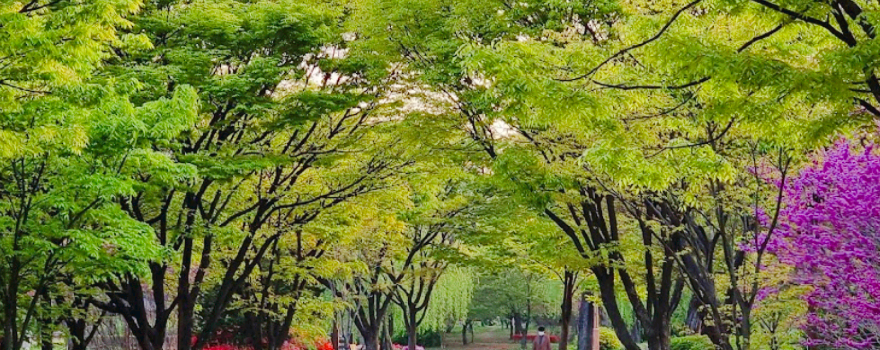 부평공원