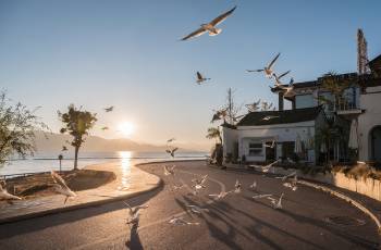 Top 10 Activities in Dali