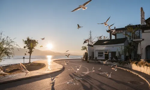 Sunsets in Dali